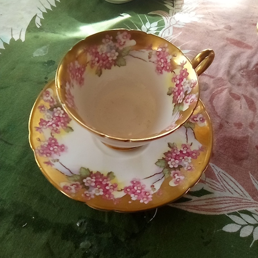 Shelly Pink Floral w Gold Bone China Teacup Saucer